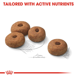 ROYAL CANIN Sterilised Maxi for dogs from 26kg - 44kg