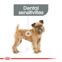 Load image into Gallery viewer, ROYAL CANIN® Dental Care Mini - 3kg
