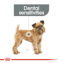 Load image into Gallery viewer, ROYAL CANIN® Dental Care Mini
