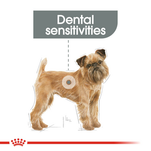 ROYAL CANIN® Dental Care Mini