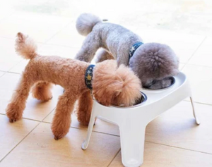 Elevated Dog Stand with 2 Bowls - 3 sizes