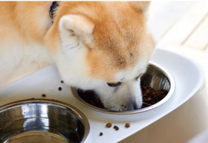 Elevated Dog Stand with 2 Bowls - 3 sizes