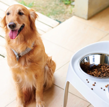 Load image into Gallery viewer, Skybar Elevated Dog Bowl
