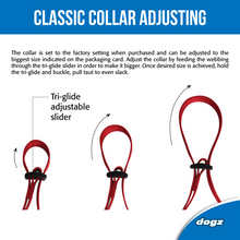 Load image into Gallery viewer, ROGZ Classic X-Small 11mm Firefly Reflective Dog Collar
