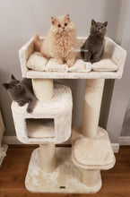 Load image into Gallery viewer, Devon Rex Cat Tree - Total Height 125cm
