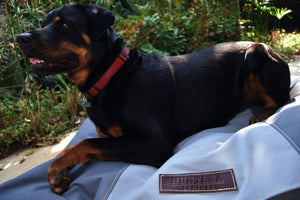 Huntlea Pillow Bed Two Tone
