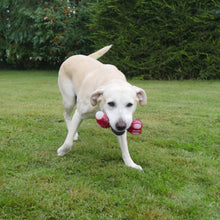 Load image into Gallery viewer, Meaty Tough Bacon Bone Dog Toy bizzibabs.com
