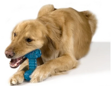 Load image into Gallery viewer, Orka Bone Dog Toy
