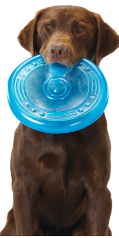 Orka Flyer Frisbee Dog Toy - 22cm