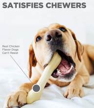 Load image into Gallery viewer, Chick-a-Bone Chew Dog Toy
