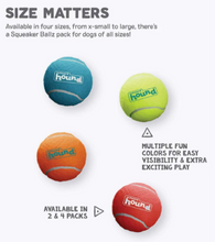 Load image into Gallery viewer, Squeaker Ballz
