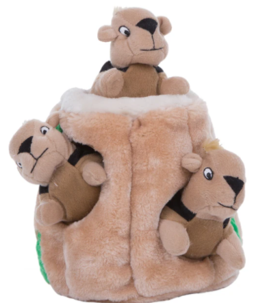 Outward Hound Hide-A-Squirrel Dog Toy