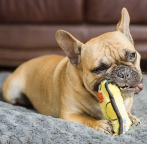Invincibles Mini Duck Dog Toy