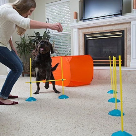 ZipZoom Agility Kit, Indoors