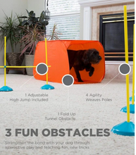 Load image into Gallery viewer, ZipZoom Agility Kit, Indoors

