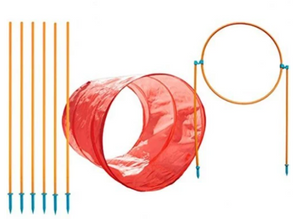 Zipzoom Outdoor Agility Kit