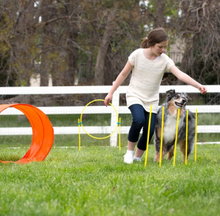 Load image into Gallery viewer, Zipzoom Outdoor Agility Kit
