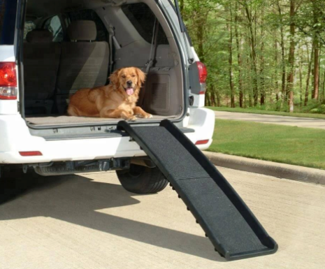 Folded Dog Ramp