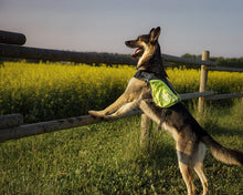 Load image into Gallery viewer, DayPak Saddlebag-Style Backpack for Dogs
