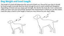 Load image into Gallery viewer, ROGZ Classic Reflective Lead
