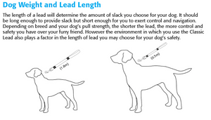 ROGZ Classic Reflective Lead