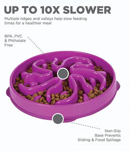 Slow Feeder Dog Bowl - Purple