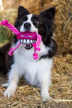 Load image into Gallery viewer, Flossy Grinz Oral Care Dog Toy
