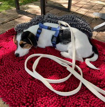 Load image into Gallery viewer, BIZZIBABS Cotton Puppy (or Small Dog) Leash - 1,8m
