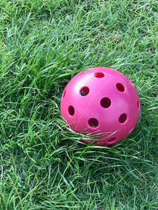 ROBUSTABALL (Large or Small)