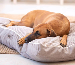 Indoor Flat Podz (Rogz) Dog Bed for the Medium to X-Large Size Dog