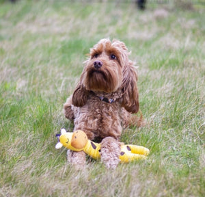 ECO Friendly Dog Toys (Lion, Elephant, Giraffe)