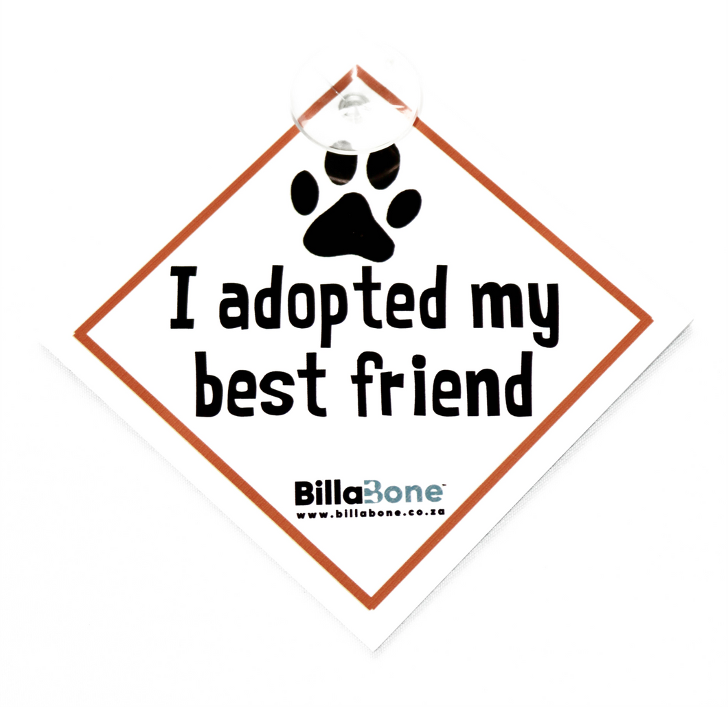 I Adopted my Best Friend - Billabone Sticker or Car Sign