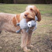 Load image into Gallery viewer, Floppy Dog Toy
