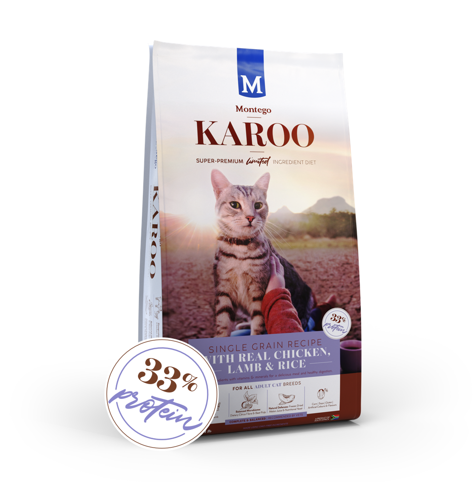 Montego karoo online 20kg price