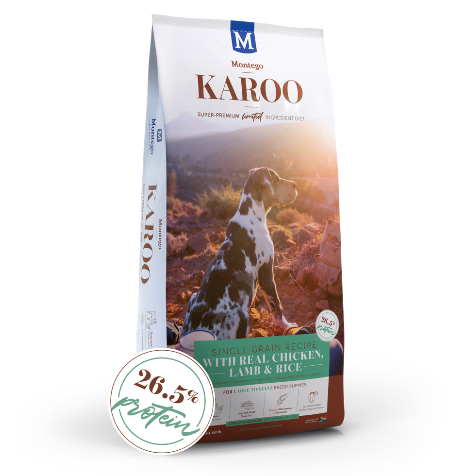 Montego KAROO Puppy Dry Food - Large to Giant Breed Puppy 1.75kg, 8kg, 15kg and 20kg