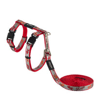 Load image into Gallery viewer, ROGZ ReflectoCat H-Harness and Lead Set - Small &amp; X-Small
