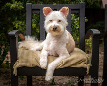 Load image into Gallery viewer, Jackie Wernberg Photography
