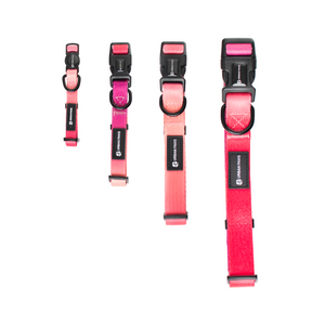 URBANPAWS Lexi Dog Collar