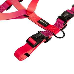 URBANPAWS Lexi Dog Harness