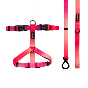 URBANPAWS Lexi Dog Harness