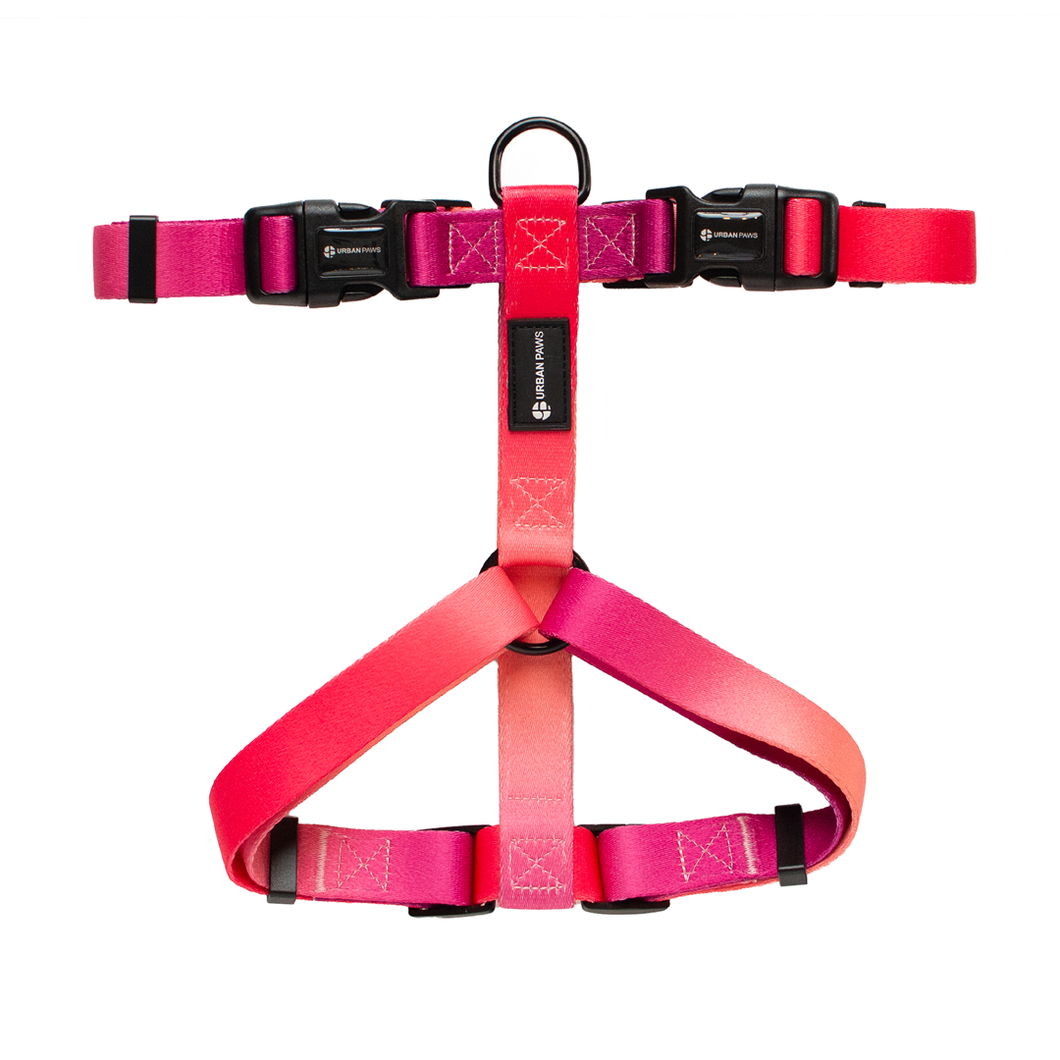 URBANPAWS Lexi Dog Harness