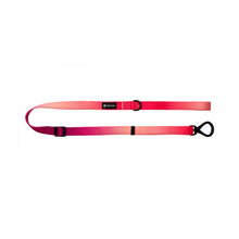 Load image into Gallery viewer, URBANPAWS Lexi Dog Lead 1,2m
