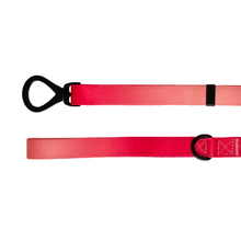 Load image into Gallery viewer, URBANPAWS Lexi Dog Lead 1,2m

