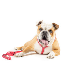 Load image into Gallery viewer, URBANPAWS Lula Dog Lead 1,2m
