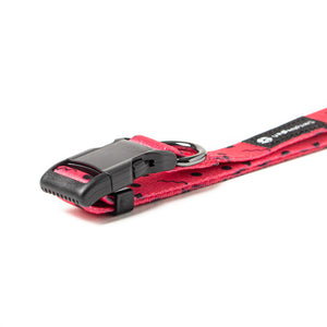 URBANPAWS Lula Dog Collar