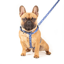 Load image into Gallery viewer, URBANPAWS Mutley Dog Lead 1,2m
