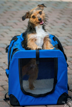 Load image into Gallery viewer, M-Pets Collapsible Pet Flow Crate - Various sizes
