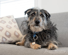 Load image into Gallery viewer, Jackie Wernberg Photography
