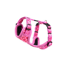 Load image into Gallery viewer, ROGZ Comfy Harness, Collar, Lead - for X-Small, Small &amp; Medium Dogs

