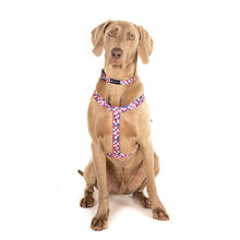 Load image into Gallery viewer, URBANPAWS Pixel Dog Harness
